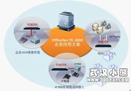 網(wǎng)經(jīng)科技湖北省新產(chǎn)品發(fā)布會(huì)圓滿落幕，引領(lǐng)網(wǎng)絡(luò)科技新浪潮